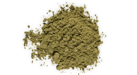 plant protein